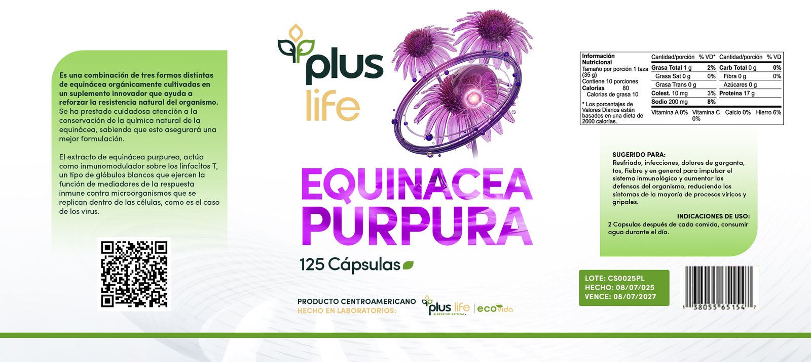 Equinacea Purpura - Imagen 2